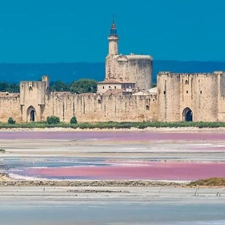 Studio En Petite Camargue Le Cailar Екстер'єр фото