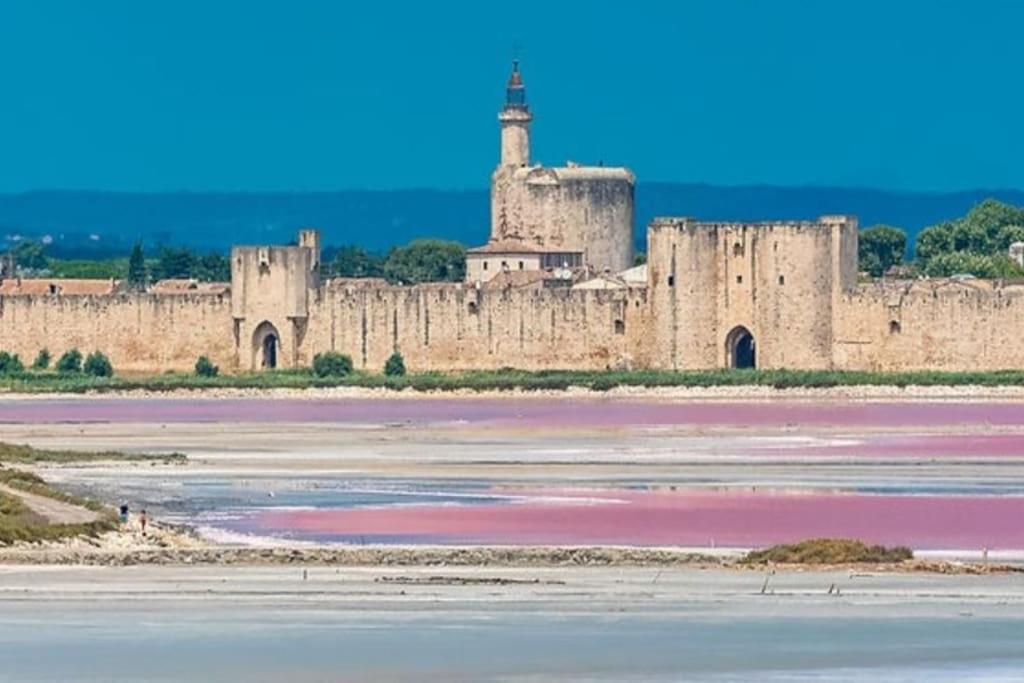 Studio En Petite Camargue Le Cailar Екстер'єр фото